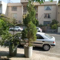 گیاهان باغچه ای با کیفیت فوق العاده|گل و گیاه طبیعی|تهران, شاهین|دیوار