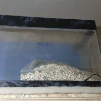 اکواریوم