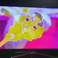 ال ای دی سامسونگ|تلویزیون و پروژکتور|رشت, بوسار|دیوار