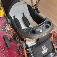 کالسکه دلیجان