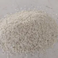 برنج سده لنجان