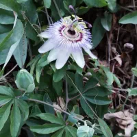 مشاوره و حل مشکلات عضلات پشت