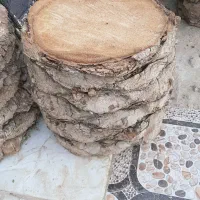 تنه نخل|صندلی و نیمکت|قشم, |دیوار