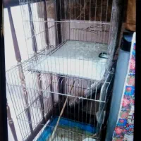قفس طوطی هر سایز