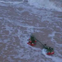 اتو پرسی ایستاده مارک سونی