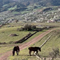 فروش زمین|فروش زمین و ملک کلنگی|بره‌سر, |دیوار