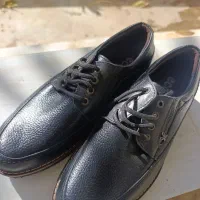 کفش مردانه و دخترانه سایز ۳۹ ۴۳|کیف، کفش، کمربند|یزد, |دیوار