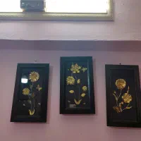 تابلو های مختلف نو