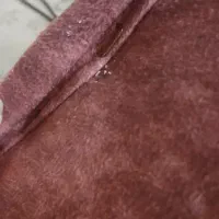 سمپاشی باضمانت ساس سوسک موش|خدمات نظافت|قدس, شهر‌قدس|دیوار