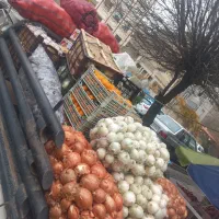 مغازه اجاره ای میوه فروشی