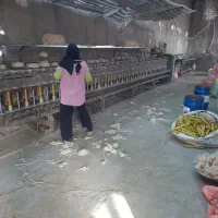 استخدام نیروی خانوم جهت کارخانه ریسندگی نخ