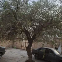 فروش خانه ویلایی