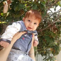 جویای سرایداری و نگهبانی