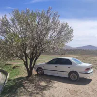 سمند دوگانه شرکتی