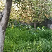 باغ-باغچه-زمین533متری-مجتمع-فرهنگیان-بهترین-لوکیشن
