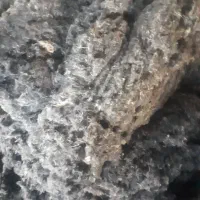 کرک دوبار هلاجی|رختخواب، بالش، پتو|پاکدشت, پاکدشت (مامازند)|دیوار