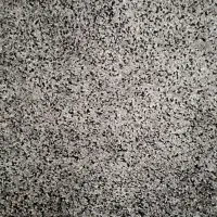 پالاز موکت|موکت|تبریز, |دیوار