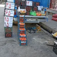 سیب زمینی تازه همدان کیسه‌ای 15 تومن|خوردنی و آشامیدنی|قم, باغ شریفی|دیوار