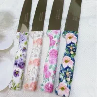 چاقوهای آشپز خانه