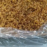فروش کشمش گلدن طلایی