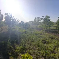 زمین-کشاورزی