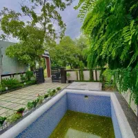 ۲۸۰متراستخردارقلب جنگل سندتکبرگ*۲قدمی جنگل/شهرکی|فروش خانه و ویلا|امامزاده عبدالله, |دیوار