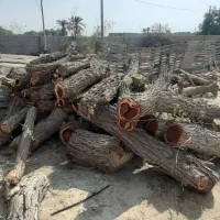 اجاره-چهار-دیواری-1000-متری-محدوده-پارک-هزارگل