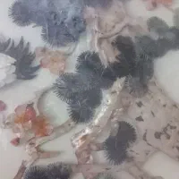 تابلو صدف قدیمی کاردست|کلکسیون اشیاء عتیقه|تهران, شمس‌آباد|دیوار