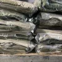 تعدادی همکار بسته بندو اتو لباس بچه