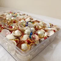 گوشواره صدفی عمده