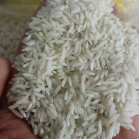 برنج سالم 2رود و سرلاشه