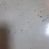 گمشده گواهی نامه و کارت سوخت