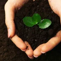 کود هوموس|گل و گیاه طبیعی|تهران, بازار|دیوار