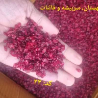 فروش زرشک دانه اناری، زیرتالاری و پفکی|عمدهفروشی|بیرجند, |دیوار