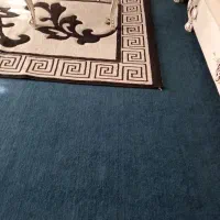 پالاز موکت|موکت|باشت, |دیوار