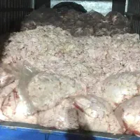 اسکلت مرغ پوست چربی