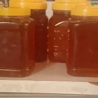 عسل طبیعی|خوردنی و آشامیدنی|زرین آباد, |دیوار