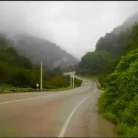 گشت و گذار در طبیعت