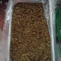 کشمش سبز قلمی ،کشمش کاشمر