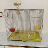 قفس