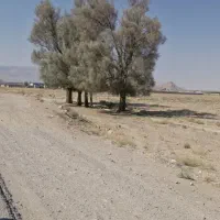 ۱۲ قواره فقط باقی مانده بهترین زمان سرمایه گزاری