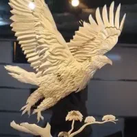 طراح  کورل|استخدام رایانه و فناوری اطلاعات|گرمدره, |دیوار