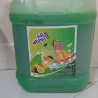 شوینده بهداشتی