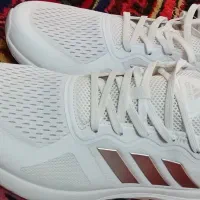 کفش اورجینال