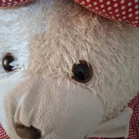 عروسک خرسی بزرگ
