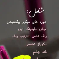 جشنواره آموزش وخدمات آرایش دائم ،لایتهای تخصصی|خدمات آرایشگری و زیبایی|تهران, فردوس|دیوار