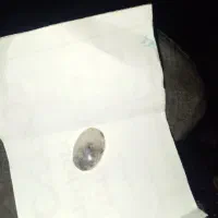 سنگ شجر