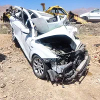 دنا اتومات تصادفی