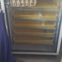 دستگاه جوجه کشی