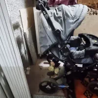 کالسکه|کالسکه و لوازم جانبی|الشتر, |دیوار